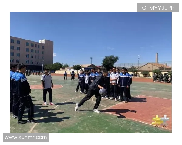 专访陈伟：深入探讨篮球领域的成功秘诀与成长之路